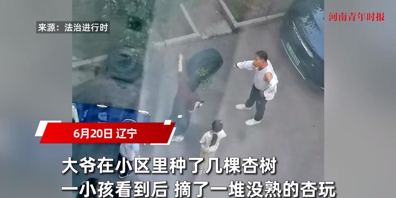 “太缺德了！”6月20日，辽宁，一小女孩在小区里玩耍时，为了好玩，竟摘下了足足有