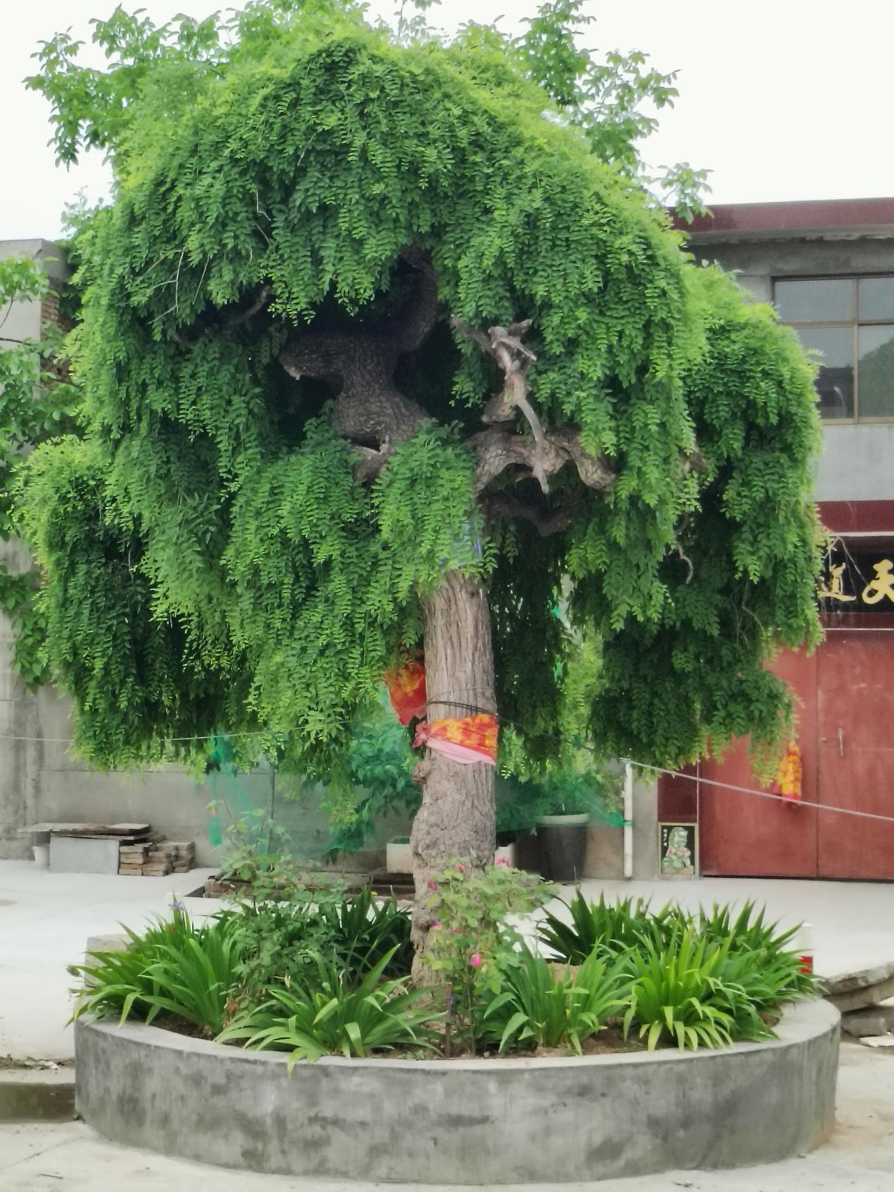 人到中年，遇事默默扛，不轻易示弱，不随处诉苦人到中年，才算真正活明白了，身