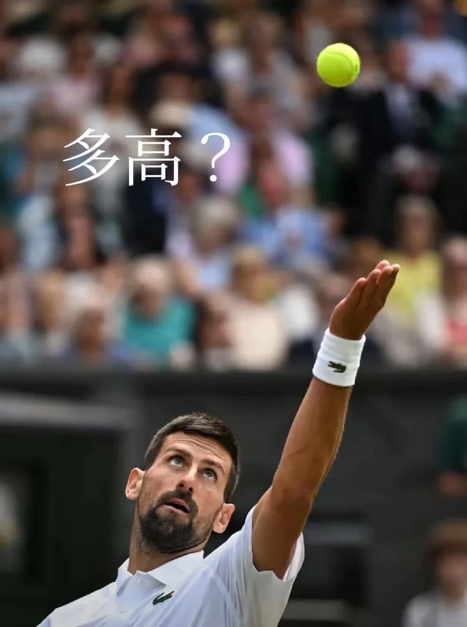 “四大满贯”全100！未来“德约的高度”谁能够得到？澳网：99胜；法网：101