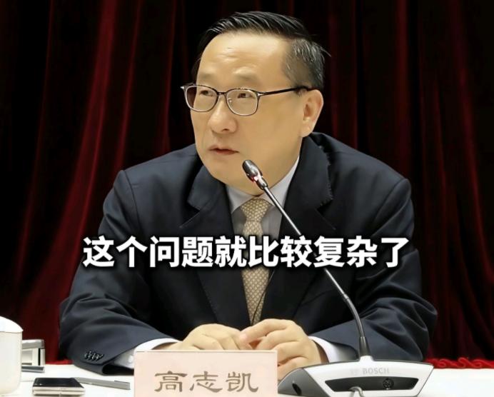 高志凯这回捅了马蜂窝。他公开建议英伟达在华销售AI芯片时，需预缴15%收入作