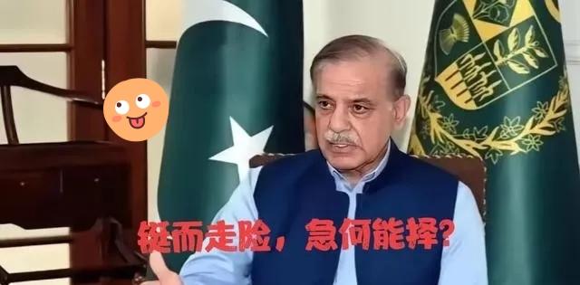 上周在达沃斯，巴方代表确实上了那个“和平委员会”名单，19国之一，名字清清楚楚印