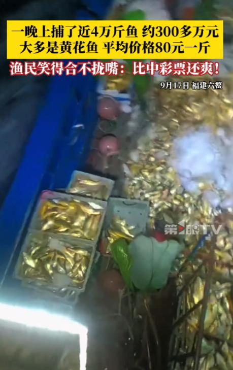 “这真是撞大运了！”福建，一个渔民像往常一样捕鱼，刚准备起网，就看见一群鱼游过来