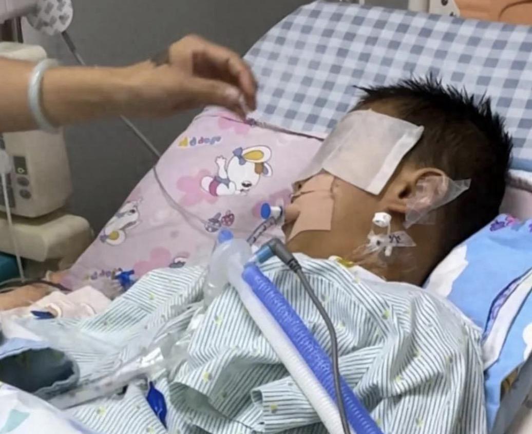 广东湛江三岁男童扁桃体手术后出现脑死亡，在医生口中次日就能出院的小手术，怎么会发