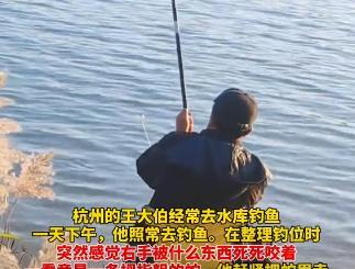“太猛了！”浙江杭州，一大爷在钓鱼时右手被蛇咬伤！万万没想到，大爷为了方便医生做