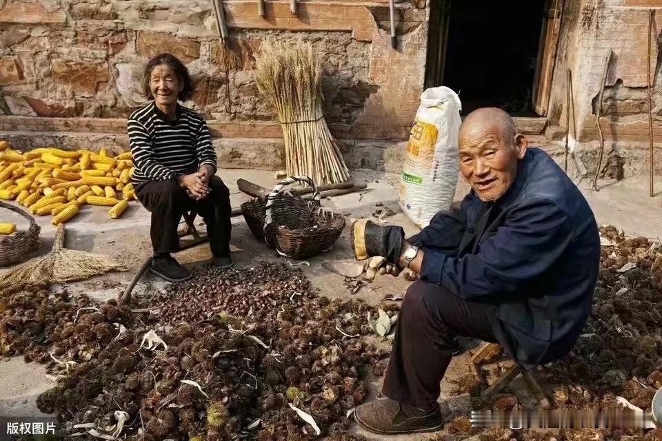 大部分人过的不快乐，并不是因为舍不得，也不是因为放不下。而是因为挣不到钱，活的累