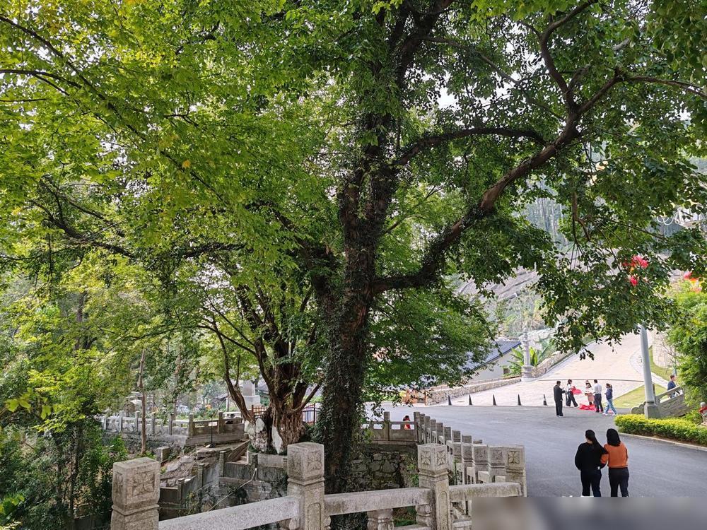 今年感觉特别的明显，往年还不觉得。最近点外卖或者下楼遛弯，总能碰到穿黄蓝制服的女