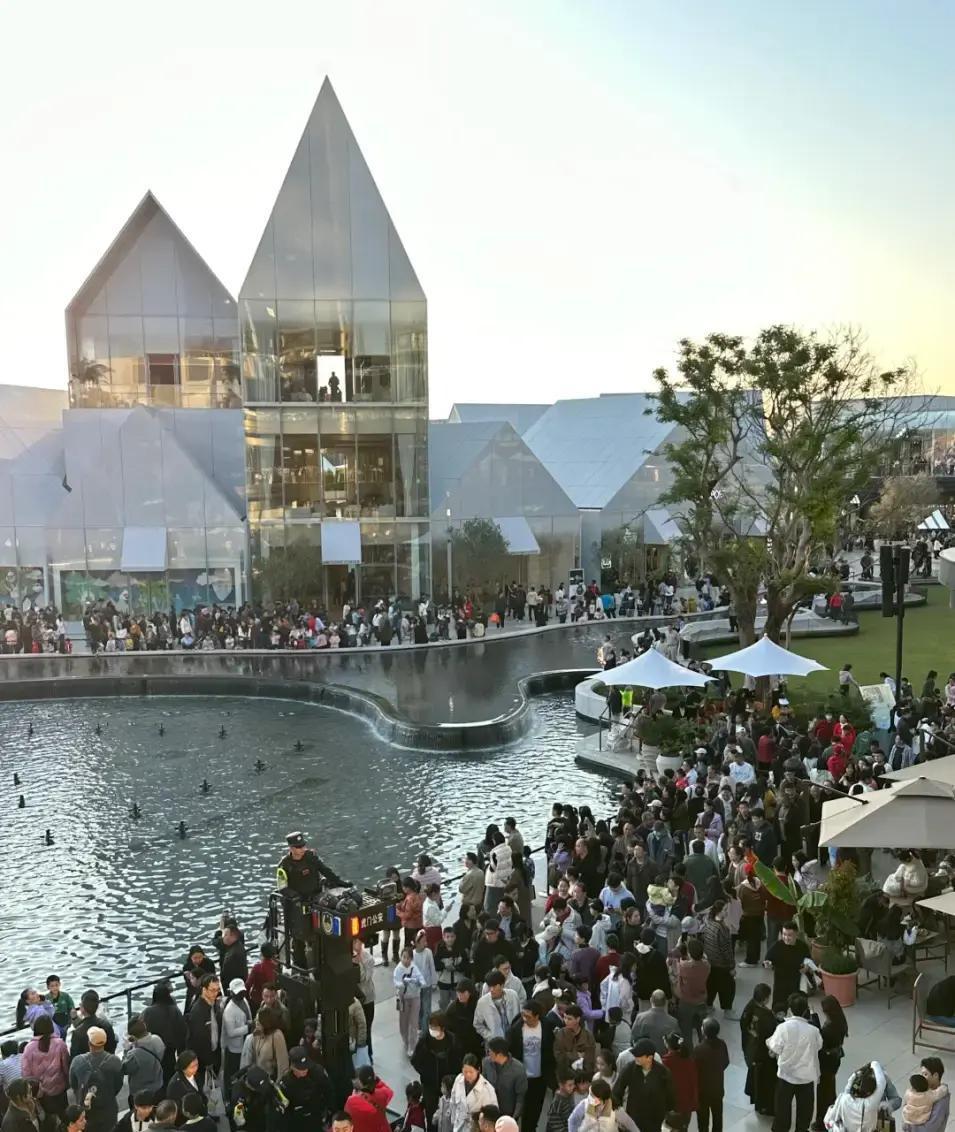 2026年元旦假期，东莞直接炸场了！阳光正好，天气暖和，大家憋了好久终于出门撒欢