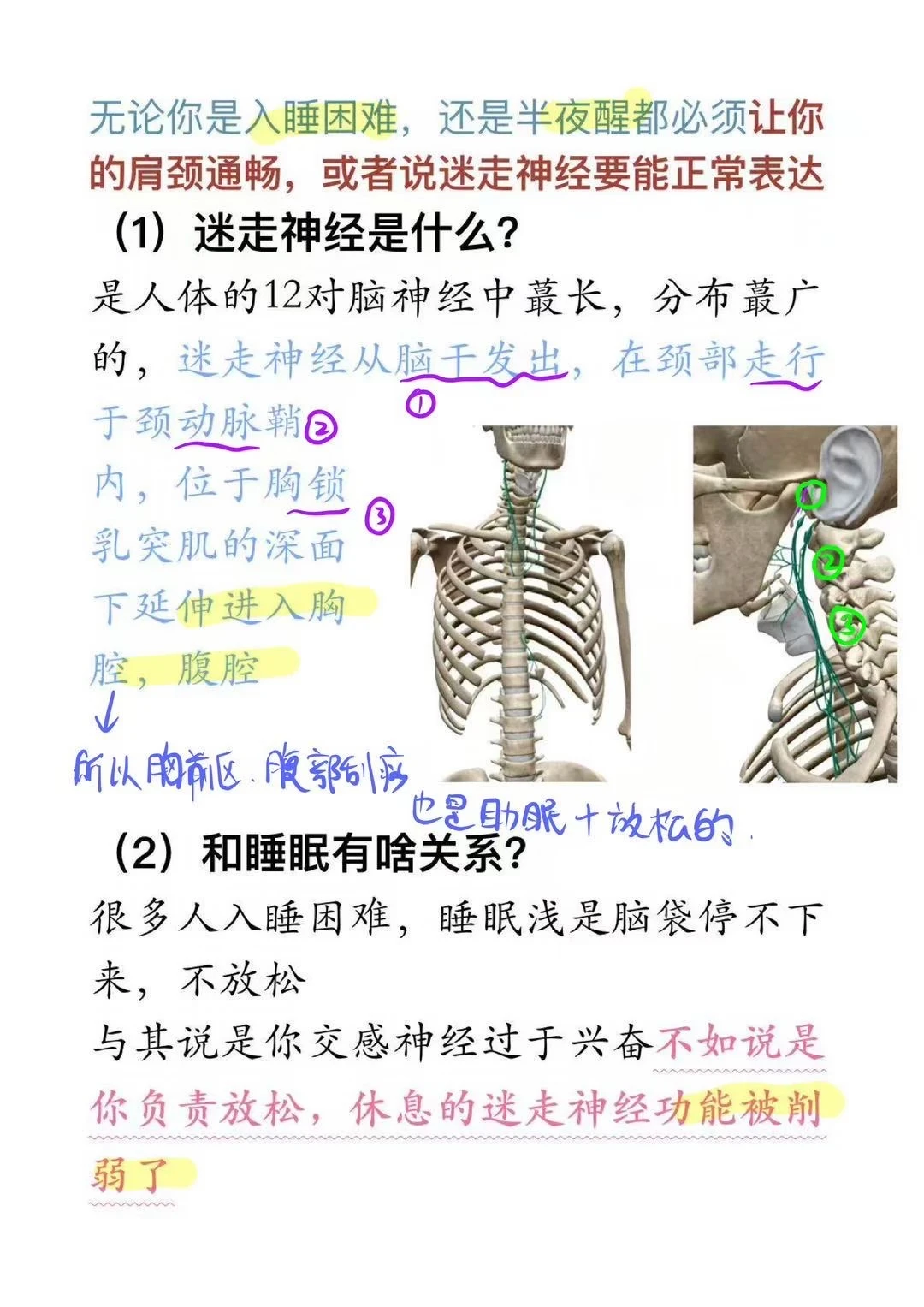 失眠把迷走神经打开=入睡快➕睡眠沉（附教程