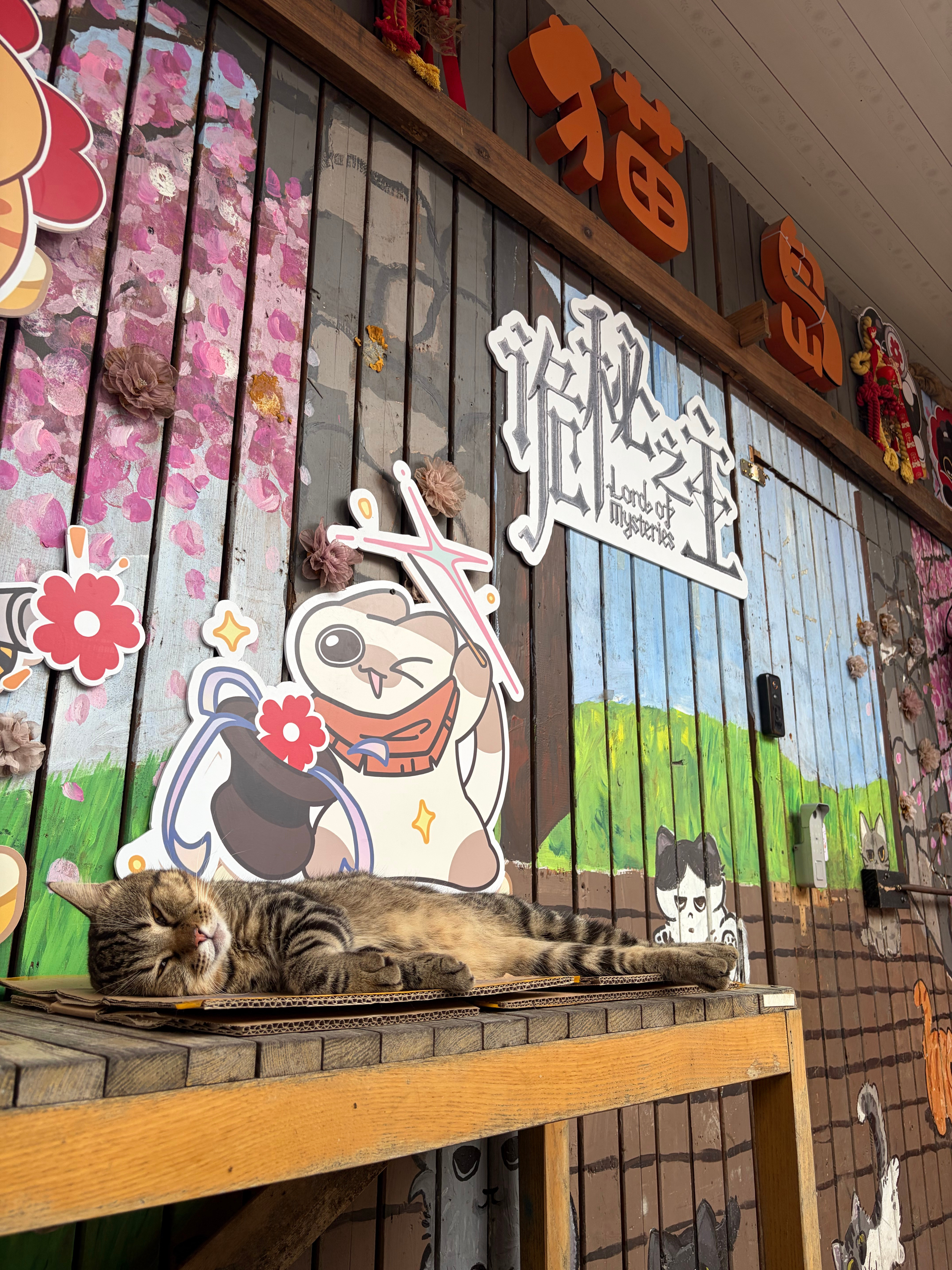 给小猫咪做月饼啦～​​​