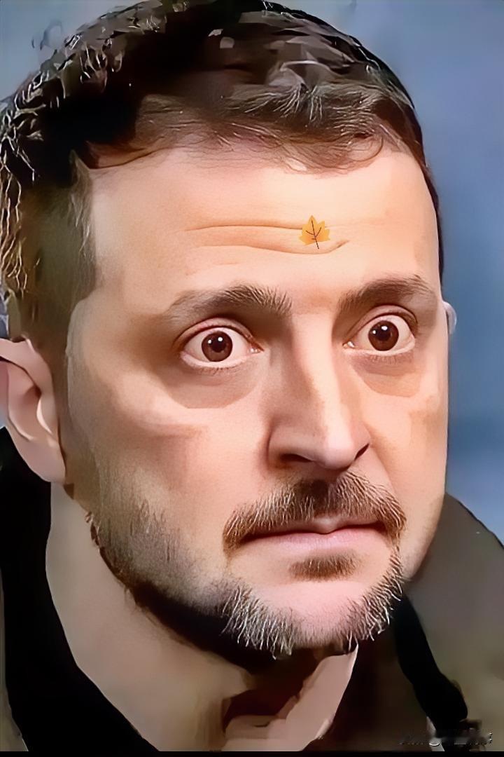 乌克兰传来消息！2026年2月12日，乌克兰首都基辅市长克利奇科宣布，基辅当天