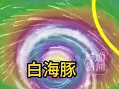 “白海豚”登陆华东已成定局，相当13个浙江省威力很大！根据中央气象台及新华社