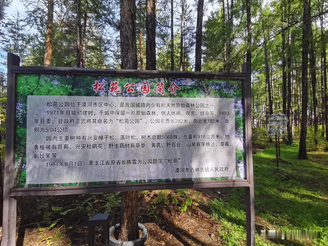 自驾G331在这里等叶子黄再继续往前走，顺路打卡漠河松苑公园。闹市区里居然藏着