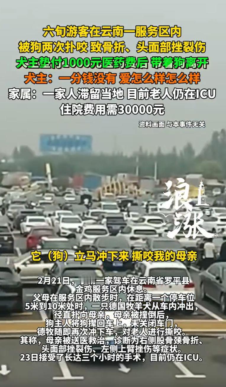 云南罗平，一女子带着一家六口从山东出发自驾游，本想着在服务区歇歇脚，结果一条没拴