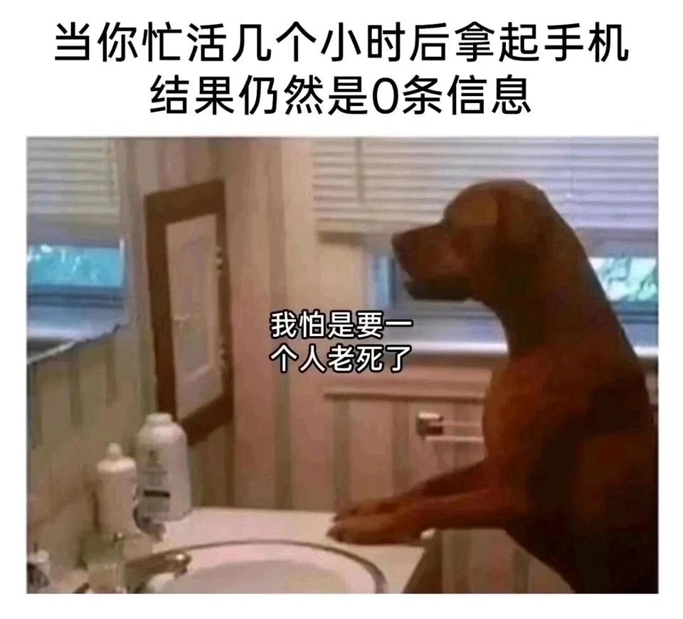 孤独终老了