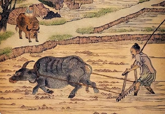 我国古代没有牛？牛是建国后从美国引进的？真相并非如此