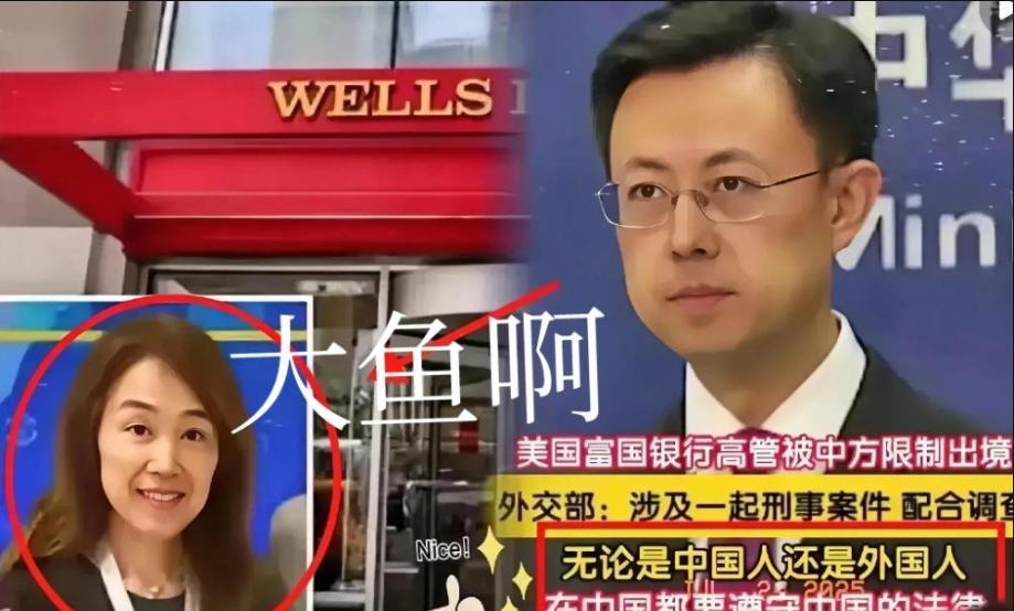 原来，茅晨月是一条“大鱼”啊！她出生在上海，美国籍，现居亚特兰大，经常来华，她是