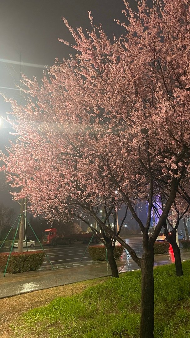 又逢雨来叮咛仿佛还在萦绕而一切恍然终消逝不见