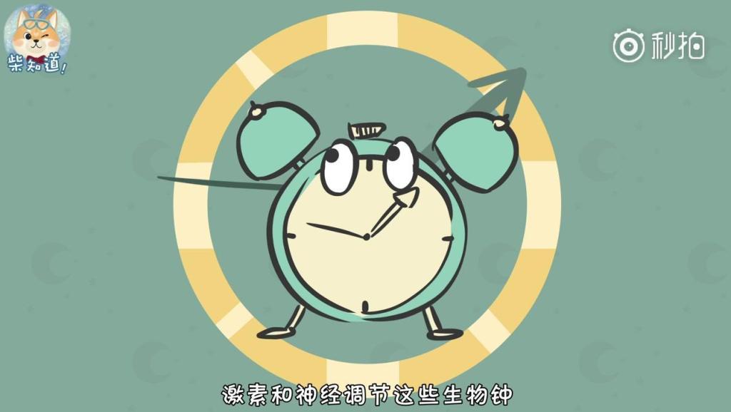 4459191277871108400.jpg?id=0
