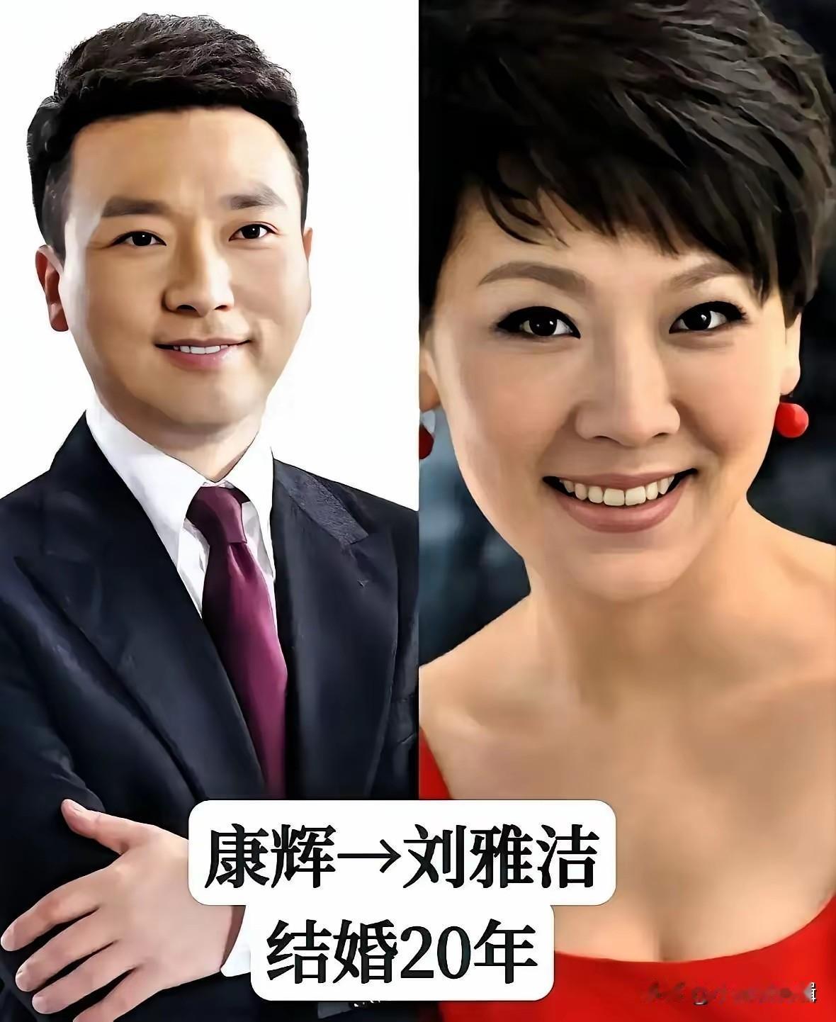 娱乐圈有不少选择丁克的明星夫妻，央视主持人康辉和妻子刘雅洁就是大家熟知的一对。二