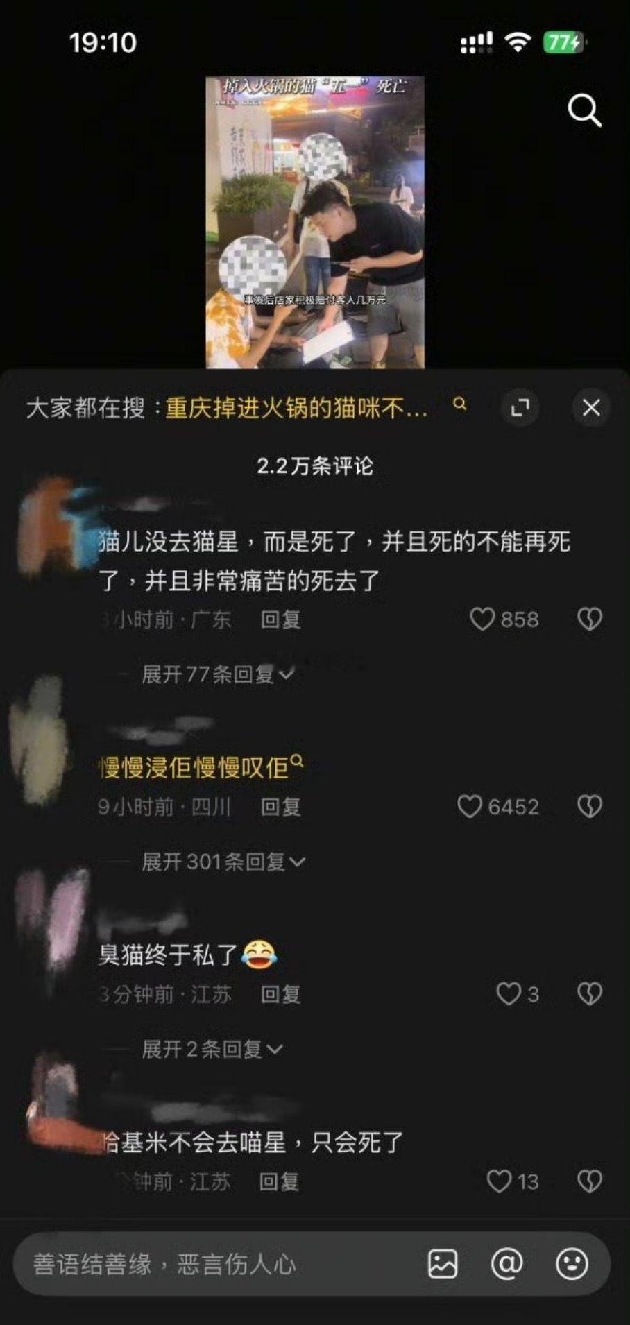为什么有些人这么恨猫​​​