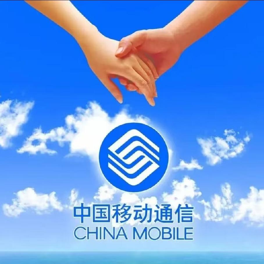 对于这个问题，我立马想起了万能的豆包友友，就请教了一下豆包。豆包回答说：移动网