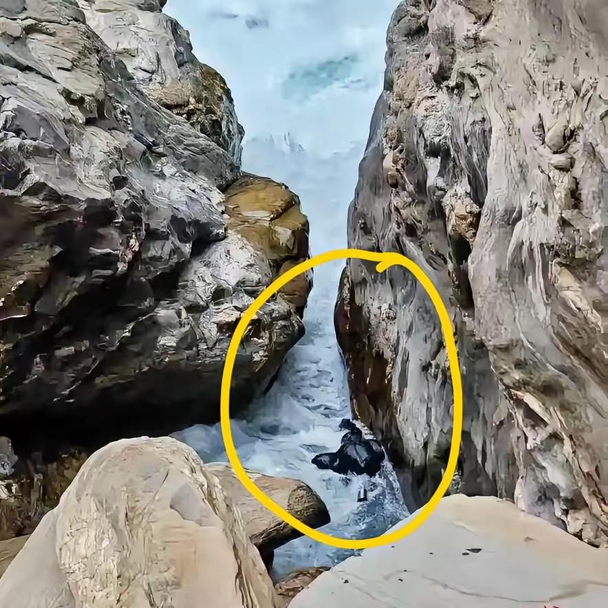 虎跳峡这起悲剧，越看越让人揪心又生气！警示牌、围栏都拦不住一颗非要“作死”