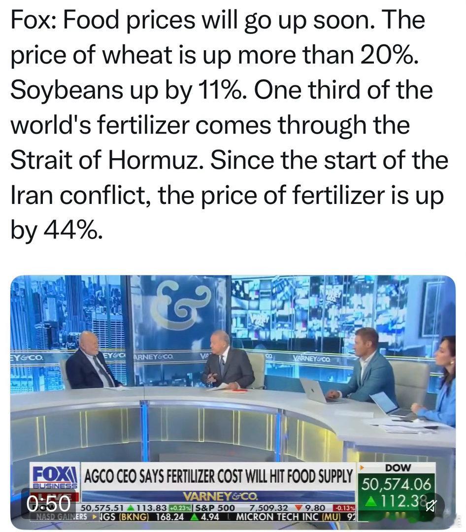FoxNews嘉宾/农业公司CEO：全球三分之一化肥要通过霍尔木兹海峡，伊朗冲