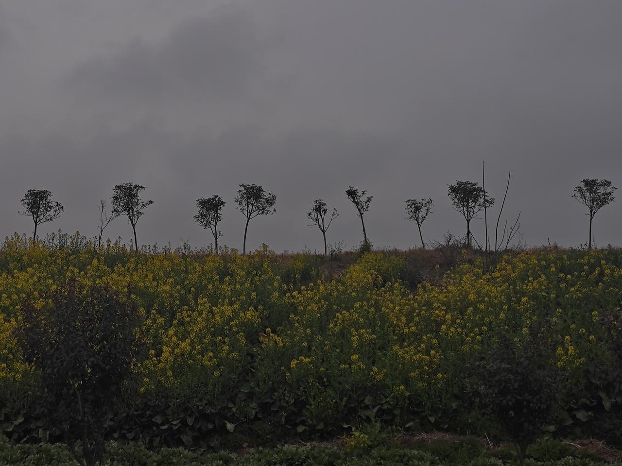 有没有根治腐败的办法？说句最实在、最不忽悠人的话：严格意义上的“100%根治、永