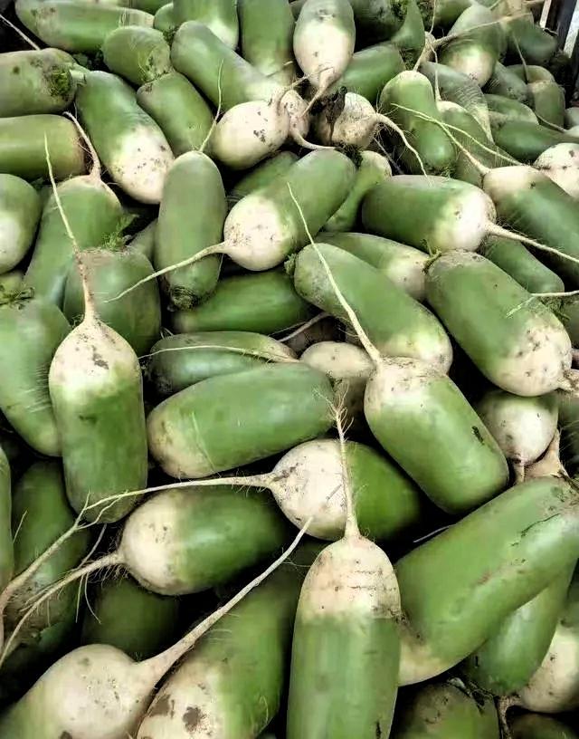 这萝卜以后我都不敢再买了。不是都说冬吃萝卜夏吃姜，白萝卜堪称小人参嘛，昨天我