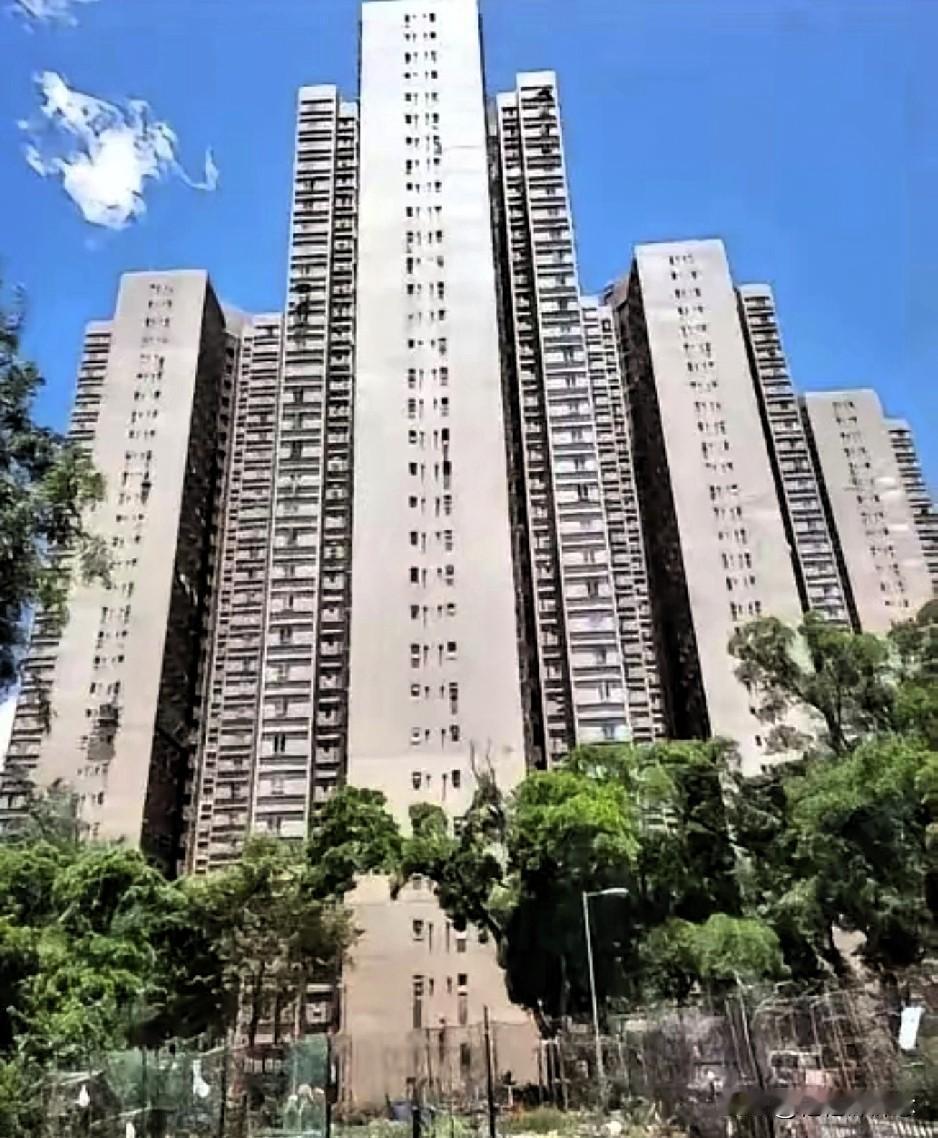 香港大埔8栋楼，没烧之前，外观很漂亮这8栋楼是高楼大厦，31层，每层8户，每