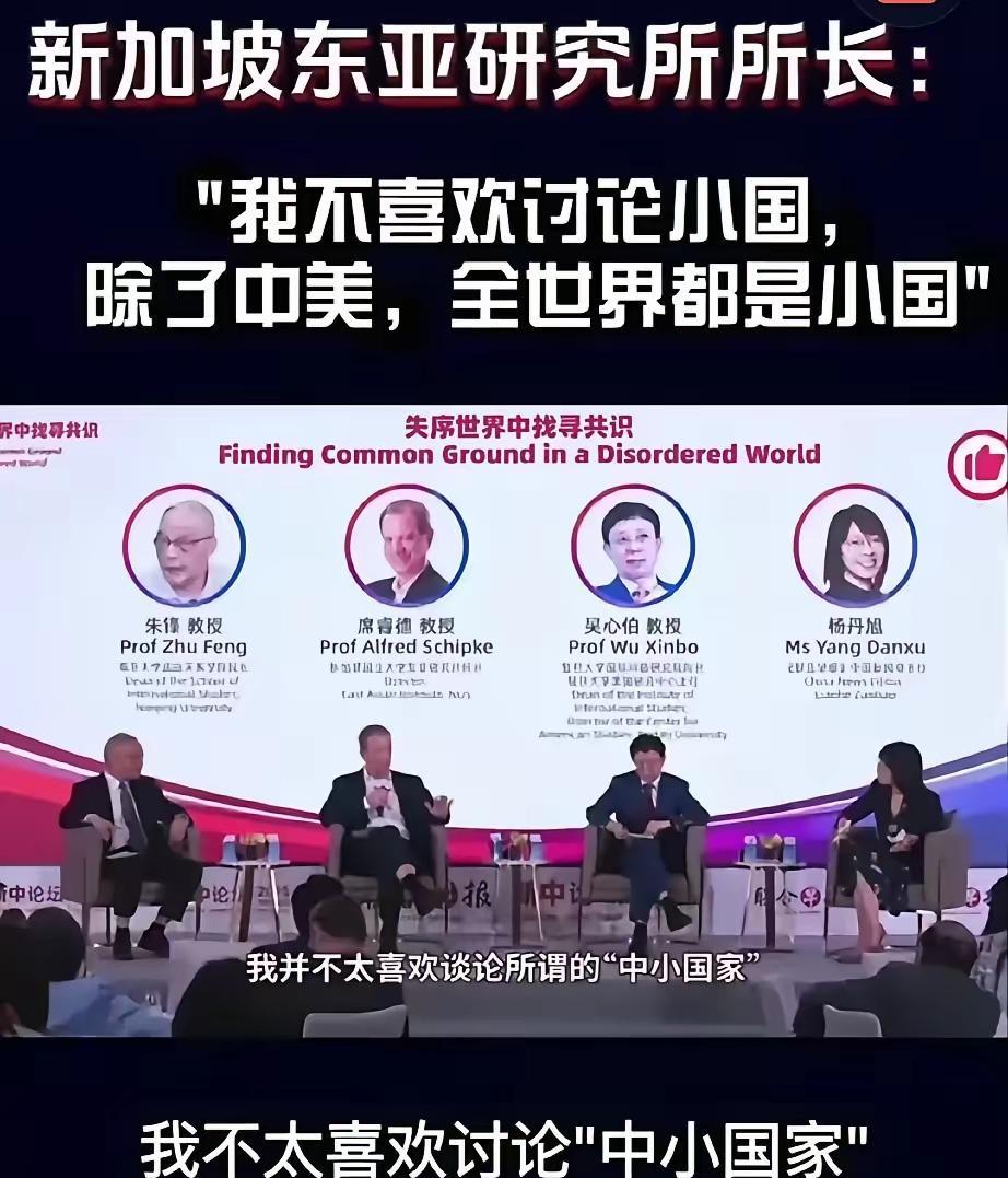 新加坡举办国际论坛，邀请嘉宾谈一谈坡县在世界上的影响力结果，美国教授丝毫不给面