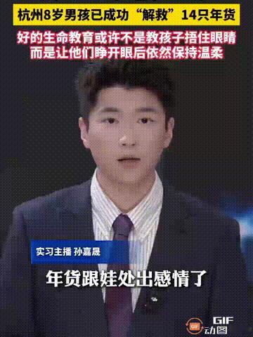 8岁男孩以一己之力，成功拯救了14只小动物，不过却让全家过年都没有年货了。这