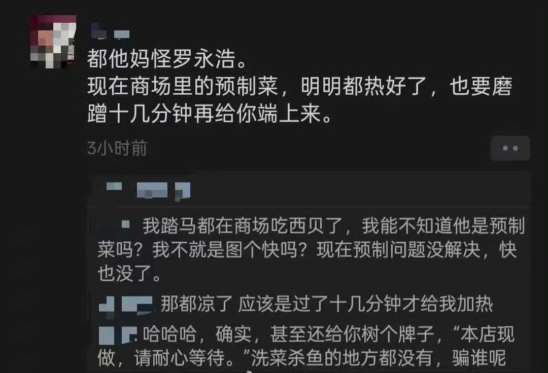 这个锅必须罗永浩背