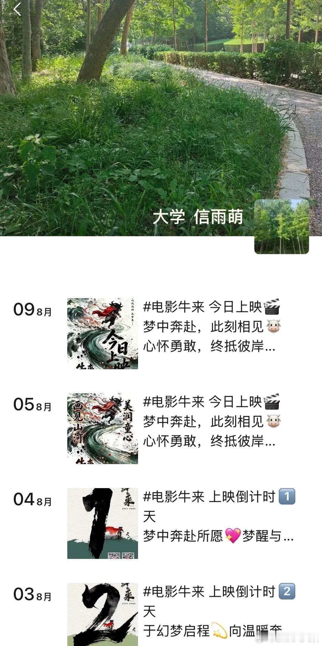 看牛来已成为一种行为艺术同学说牛来导演是比较闷的人《牛来》爆火，截至8月16日