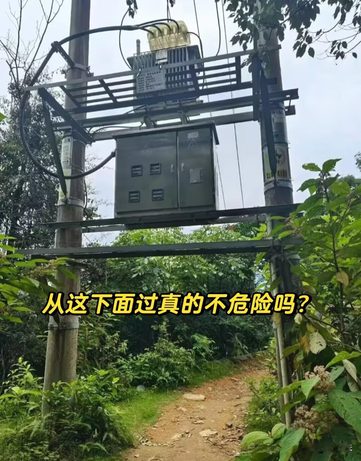从这下面过真的没问题吗？