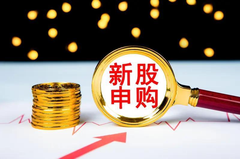 北交所打新与沪深市场打新差异显著沪深打新以“市值”换“门票”，