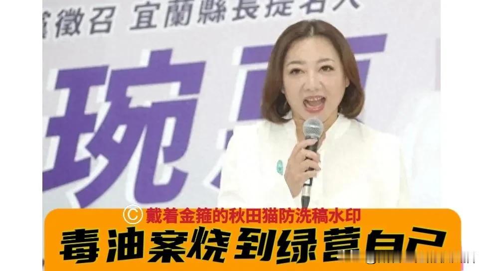 毒油案烧到绿营自己？民众党宜兰党部主委陈琬惠：绿当局处理食安问题的态度，让绿营