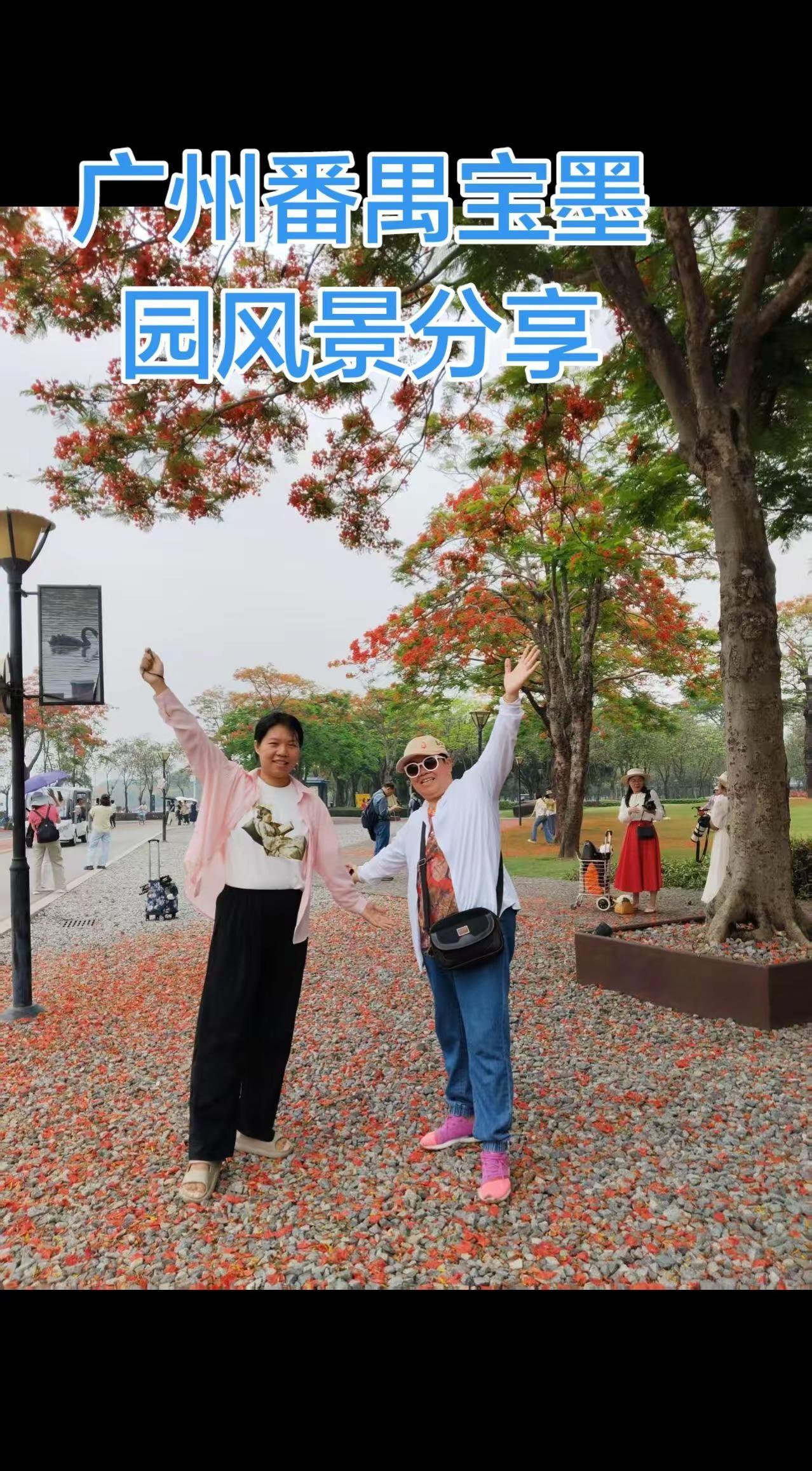 用抖音记得广州番禺宝墨园风景分享。看抖音没想到这片池塘有这么美的鱼游客打卡到此