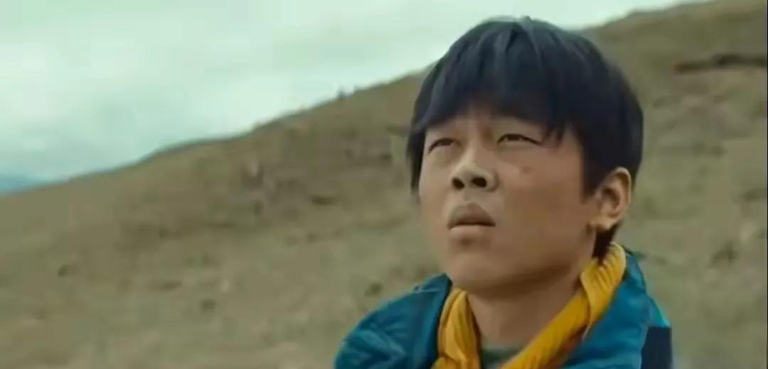 “收视破1.5也救不活《生命树》的烂尾！编剧是把键盘扔进可可西里喂狼了吗？”