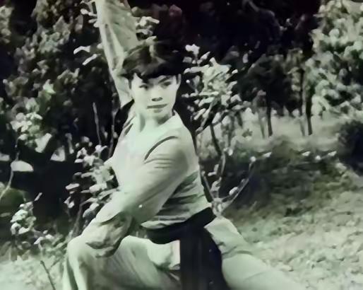 1968年，82岁的武僧宋九庵一时好心，收留了一名奄奄一息的女孩，并将一身功夫悉