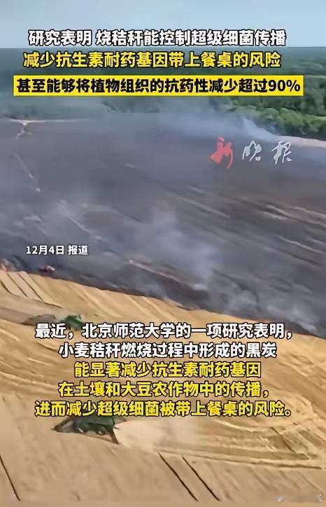 曾因污染空气、引发事故被严令禁止的秸秆焚烧，如今被北师大研究发现新功效——其产生