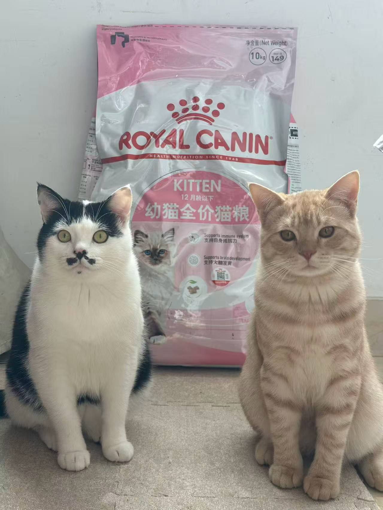 咪最近有点处理不好身材：