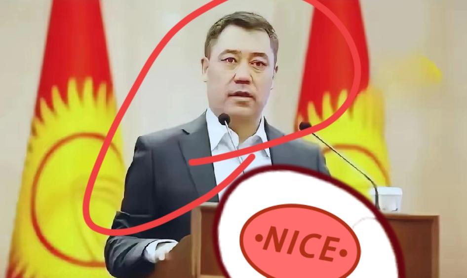 你敢信？中亚吉尔吉斯斯坦人口普查，居然有8.7万人主动勾选“李陵后裔”，连纪