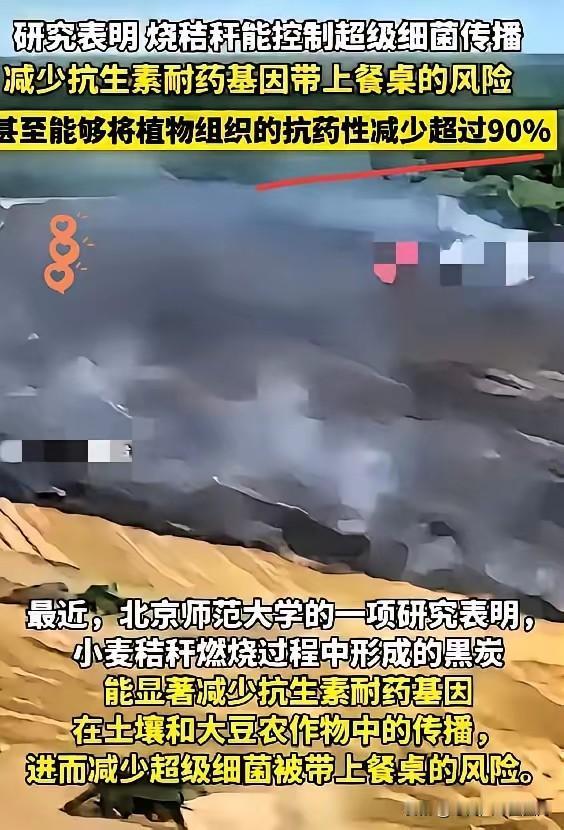 开始有点理解老一辈的种地人了他们守着传承千年的耕作方式，不是因为我们想的那么