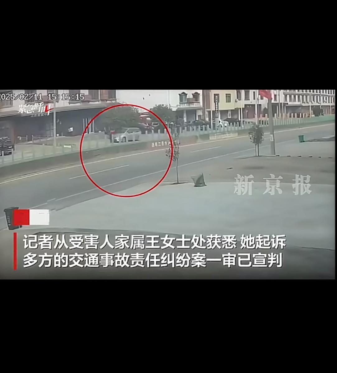 湖南攸县的一场车祸令人心碎：男子陈某某驾车撞死3岁幼童和婆婆，另致一亲戚重伤。事