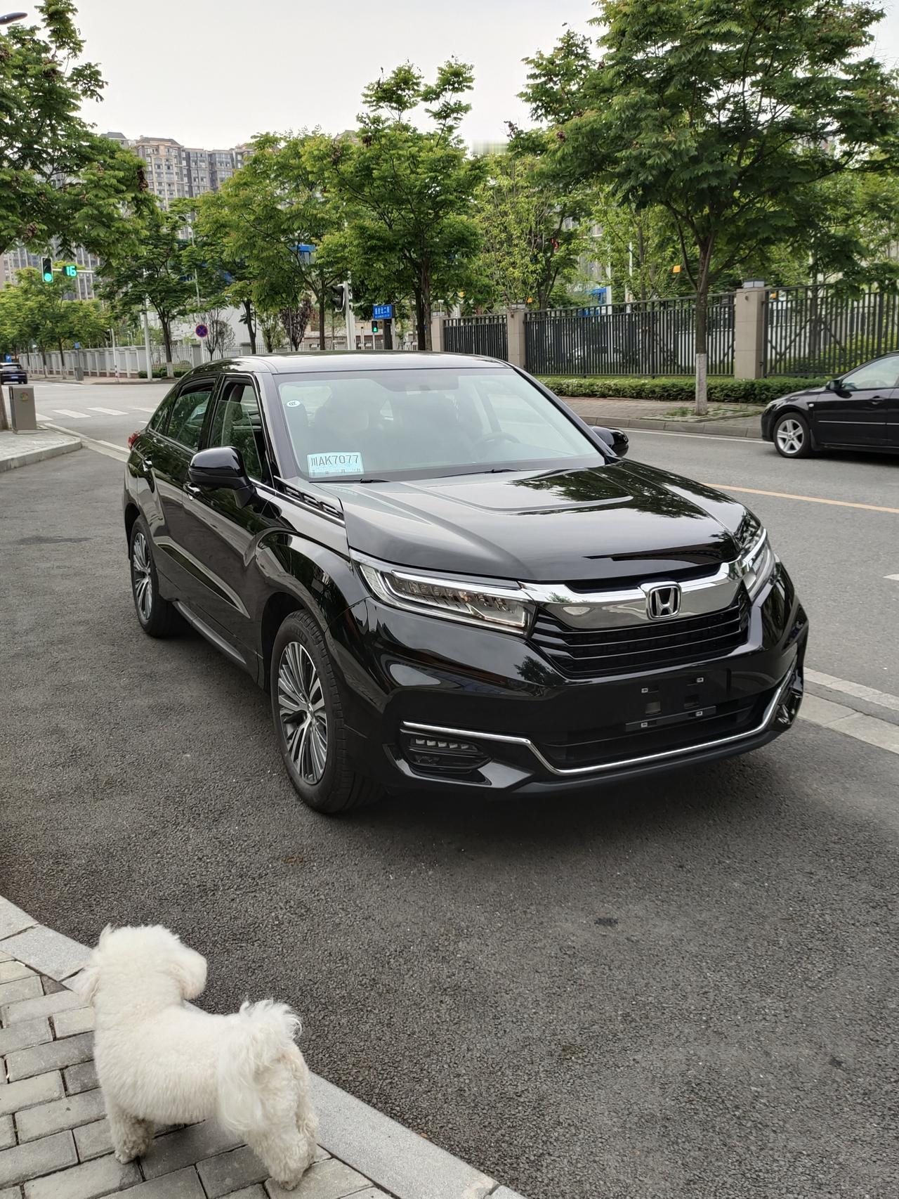 我的车型是本田冠道，2023年4月提的车，提车时我的毛孩子第一时间跳了上去，可以