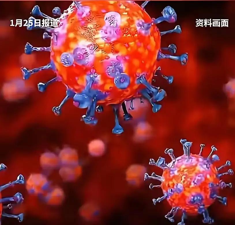 早知道！如何预防尼帕病毒？预防尼帕病毒需从规避传染源、切断传播途径、做好个人