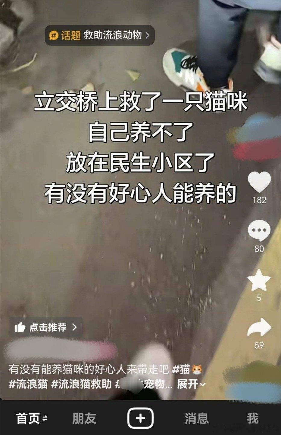 网友救了一只猫咪，自己养不了