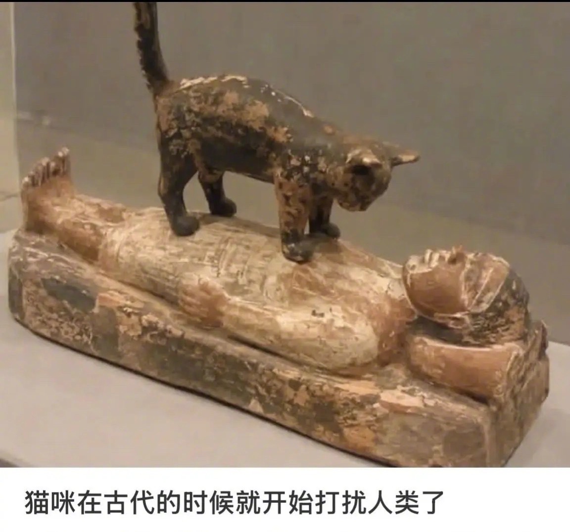 猫咪：自古以来～～​​​