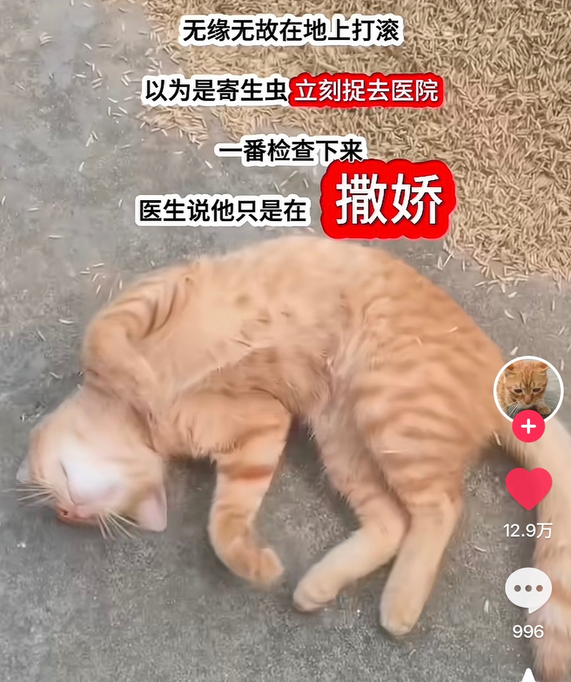 本人卖萌在别人眼里belike